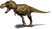 Tyrannosaurus Rex