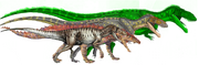 Torvosaurus VS Fasolasuchus