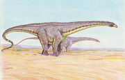 Diplodocus longus