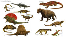 Mammal-like-reptiles