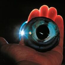 An eye from the colossal squid