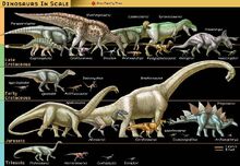 Dinosaurs in scale