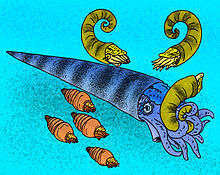 Cameroceras eating a Aphetosaurus while a Cyclostomiceras swim by.jpg
