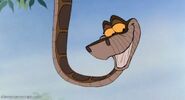 Kaa as Himself