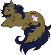 Kassidy Lilly.png