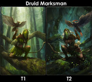 Druid Marksman Evolutions