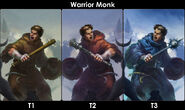 Warrior Monk Evolutions