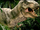 Tyrannosaur Buck