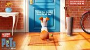 The Secret Life Of Pets - Official Teaser Trailer (HD) - Illumination