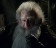 Balin in The Battle of the Five Armies