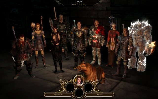 Dragon Age: Origins - Awakening companions