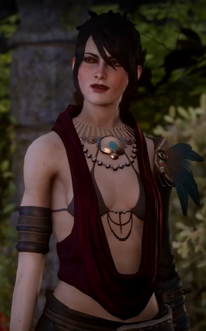 Companions about Morrigan & Warden