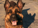 Dogmeat (Fallout 4)