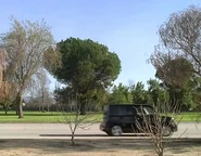 When Ando makes a face that makes him happy, Matt reactivates the Nissan Cube...