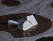 Zane Taylor's home is filled with melted and partially melted objects, including...
