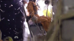 A hooded Sparrow falling out of the plane