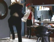 Strength 1.jpg (23 KB) Niki throws Candice across a room with one punch. (How to Stop an Exploding Man)