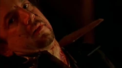 The weasel messed with the wrong woman