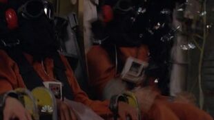 A hooded Sparrow is having her seat depressurizes with a hooded female fugitive 2