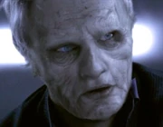 Adam begins to decay.