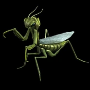 Богомол-H4-арт.jpg (29 Кб) Богомол-H4-арт