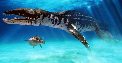 Liopleurodon