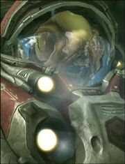 Grunty SC2 DevHead1