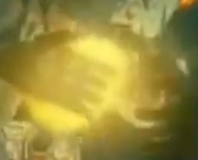 Oxidium.png