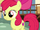 Apple Bloom