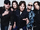Europe the Band (Tabbykitth's Tabbyverse)
