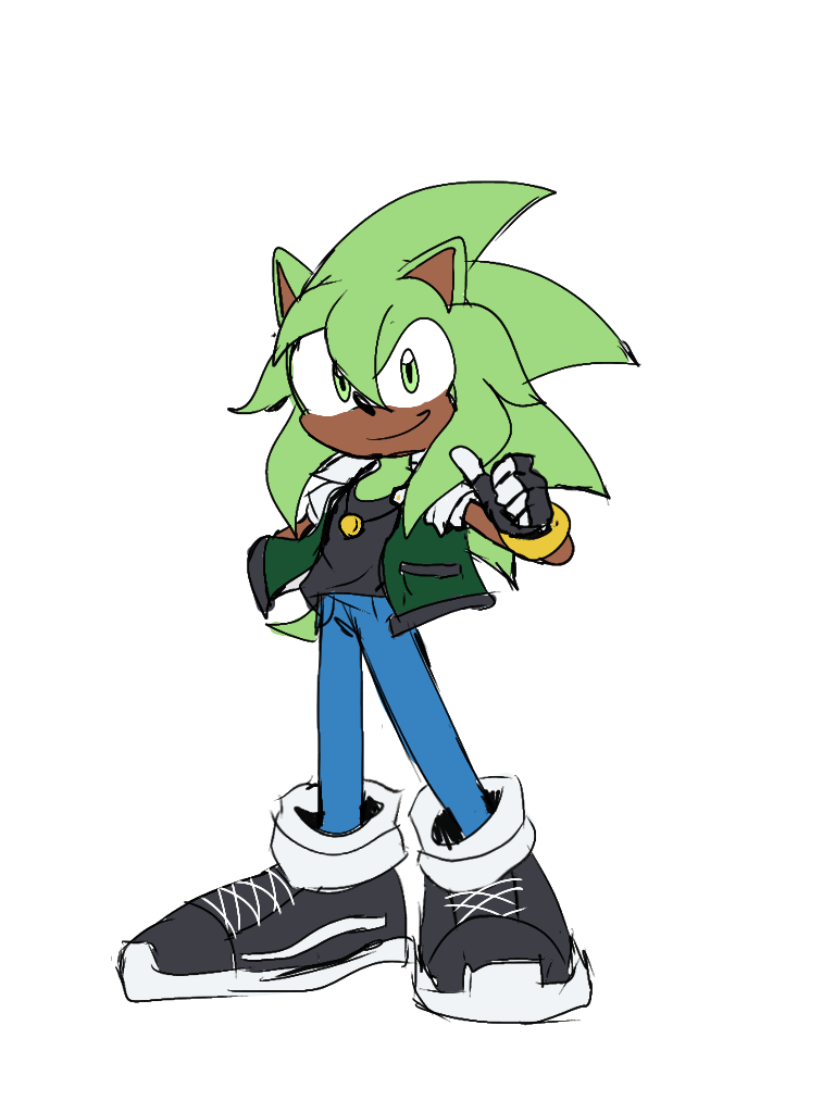 Shadic the Hedgehog, Hero Fanon Wiki, Fandom