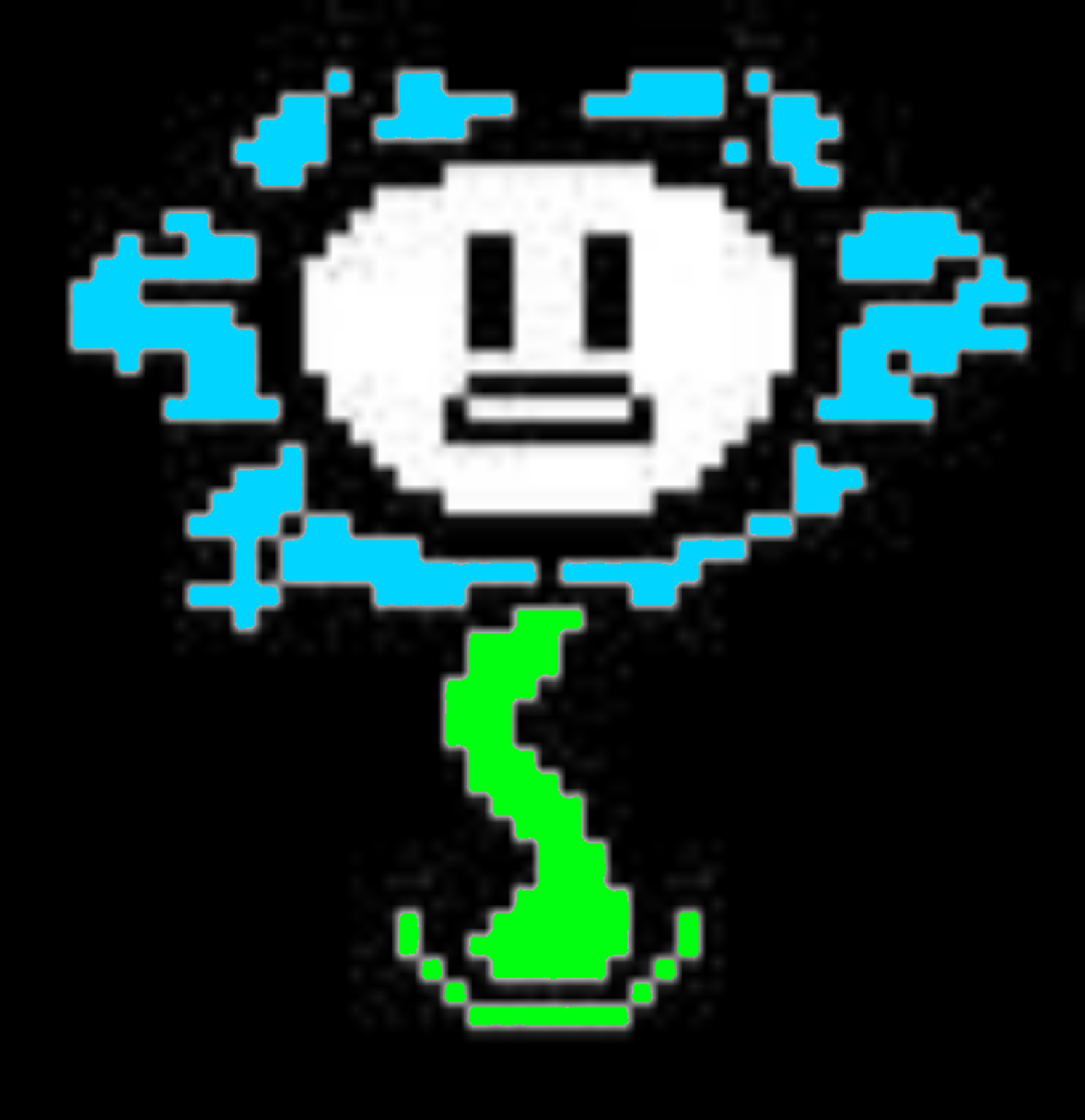 nothing useful. — why does flowey attack “chara”?