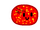 FieryCreeper