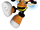 Charmy Bee