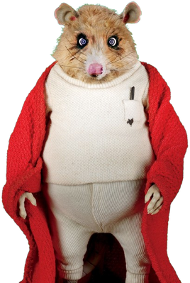Kylie Opossum