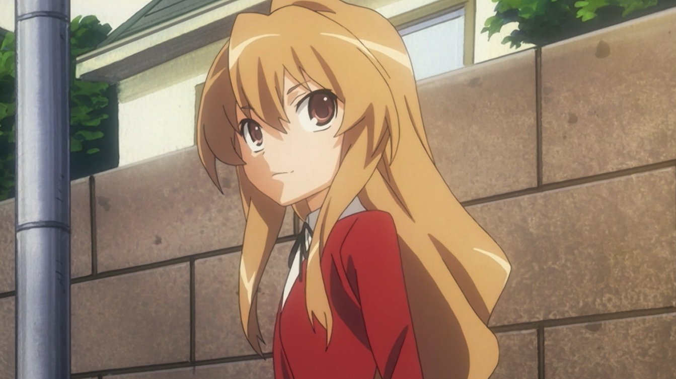 She is legal 60% PM Taiga Aisaka Fictional character Played by Videos TV  show Taiga