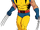 Wolverine (X-Men Clássico)
