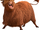 Angus (Ferdinando)