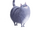 Chloe (Pets)
