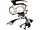 Dib Membrana