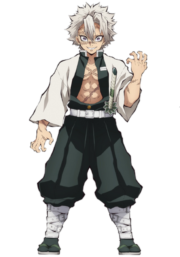 Sanemi Shinazugawa, Wiki Herois