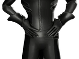 Cat Noir