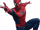 Homem-Aranha (Raimiverso)