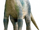 Aladar