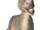 Burro