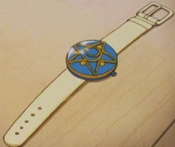 Communicator