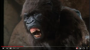 Amy the Talking Gorilla roaring at the Grey Gorillas and telling them to leave Peter Elliot alone.