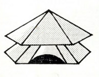 H shield