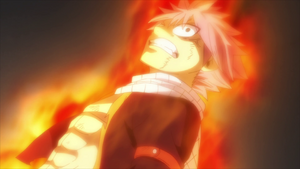 Natsu promises to burn the fate