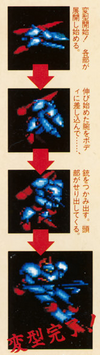 Snapshot025